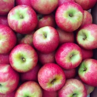 DOMAČA JABOLKA 1kg